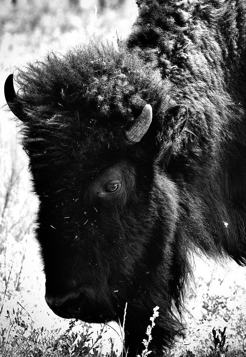 EB7C2469-D396-463B-A814-37BCAF4451F6